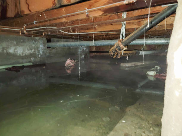 Best Emergency water damage restoration  in Mccleary, WA