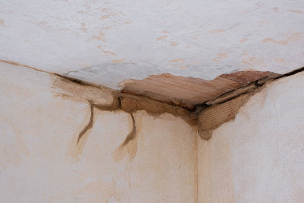 Best Water damage restoration near me  in Mccleary, WA