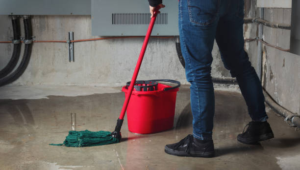 Water damage restoration mold remediation in WA