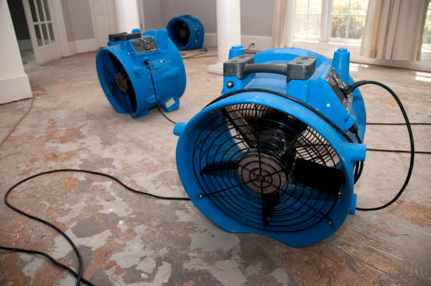 Best Basement water damage restoration  in Mccleary, WA