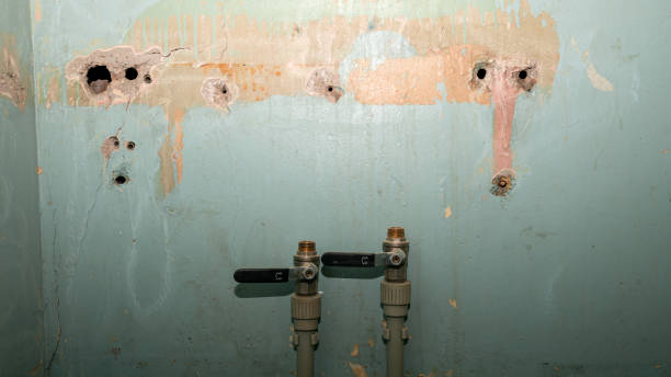 Best Mold removal after water damage  in Mccleary, WA