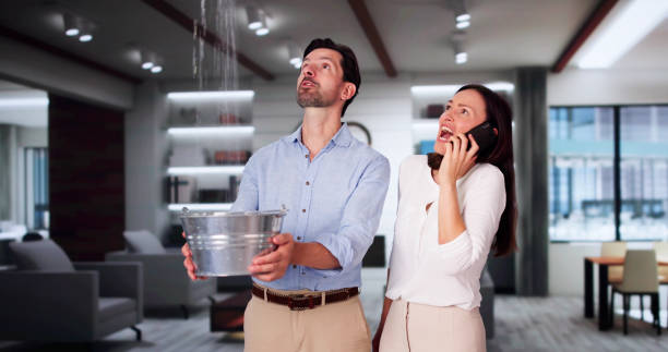 Best Ceiling water damage repair  in Mccleary, WA