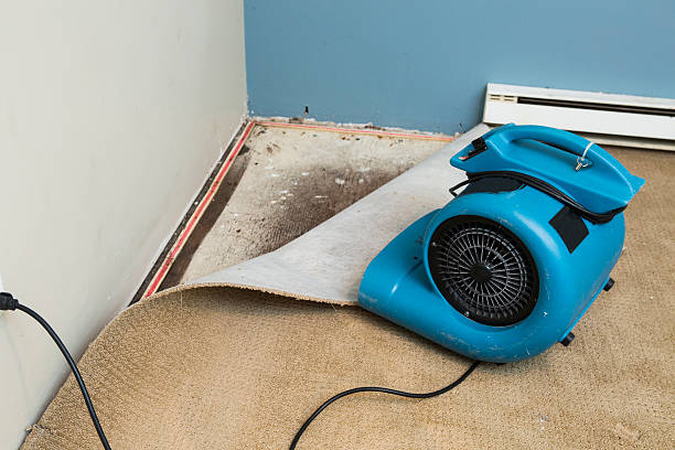  Mccleary, WA Water damage restoration Pros